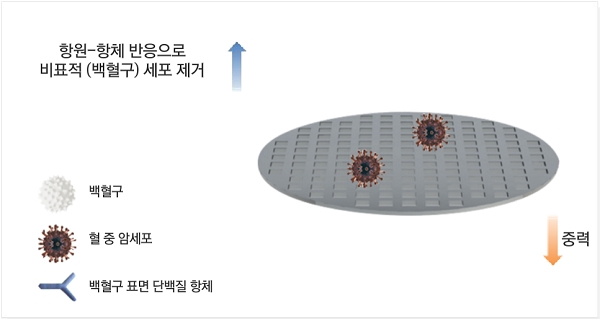 싸이토젠의 핵심 기술 CTC isolation./출처=싸이토젠