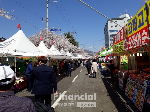 지난 1일부터 오는 10일까지 경남 창원시 중원로터리 및 진해 일대에서 진해 군항제 2019가 펼쳐진다./사진=전수용 기자