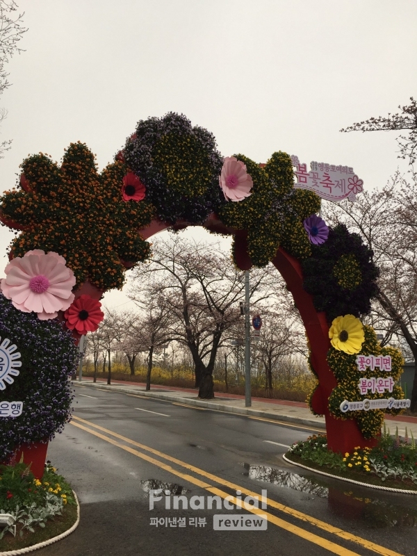 서울 여의도 벚꽃축제장.