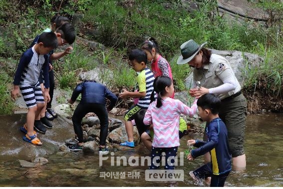 소백산 남천야영장, 천연림과 함께하는 남천계곡./사진=환경부