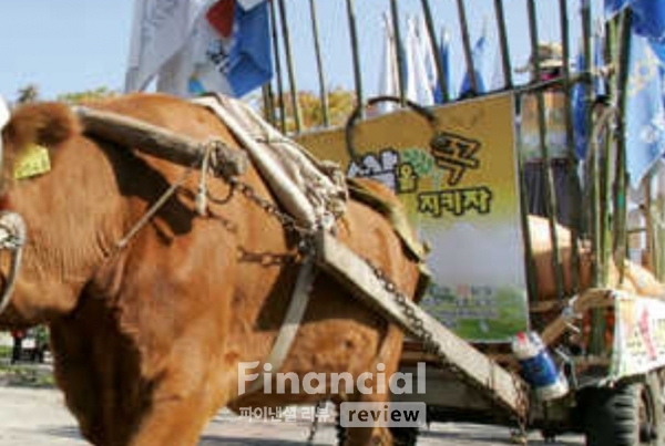 본 이미지는 기사 내용과 아무런 관련이 없습니다./사진=연합뉴스