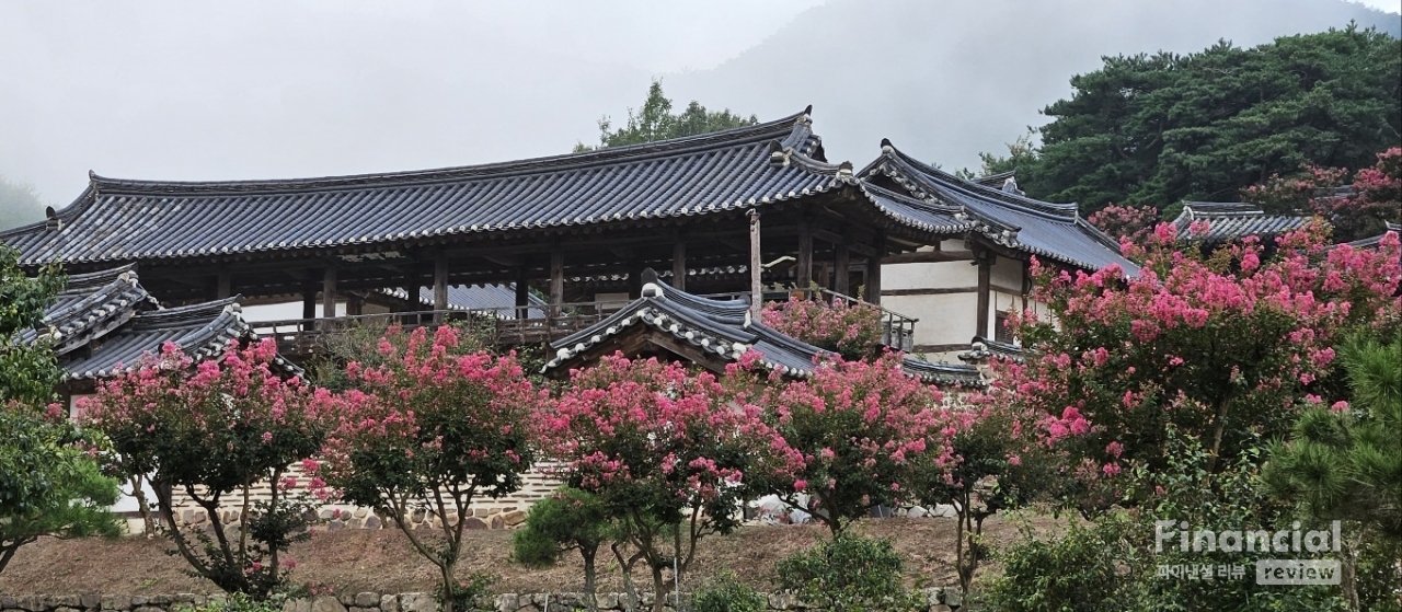 안동 병산서원은 여름이면 붉게 핀 배롱나무가 별천지다. /사진=이동미 여행작가