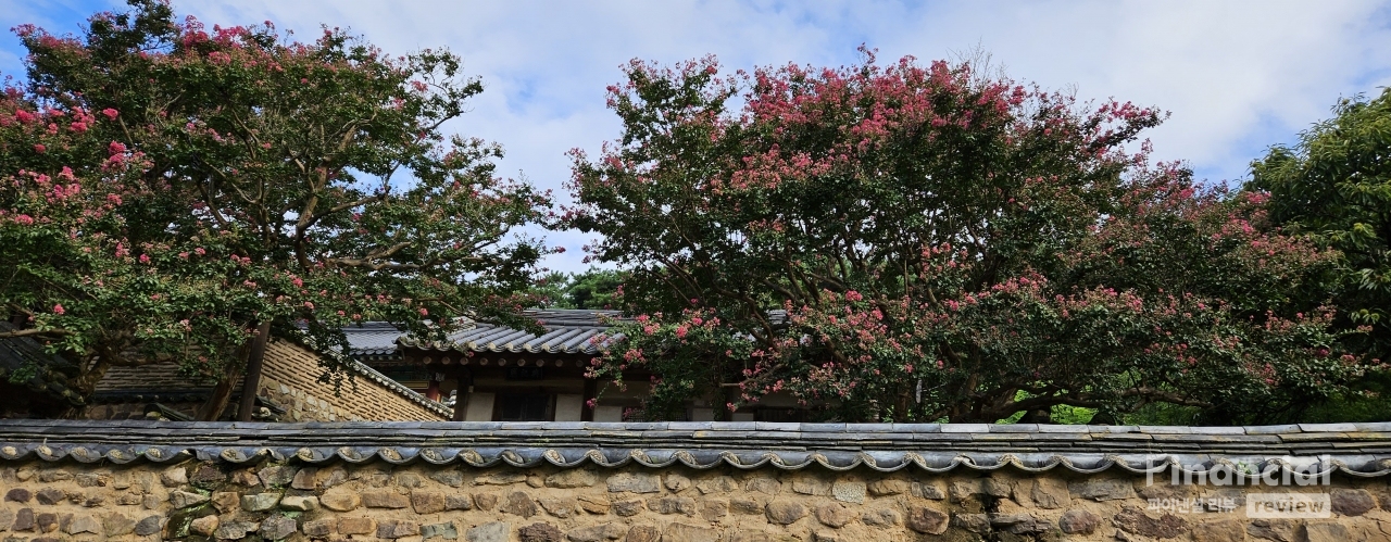 고직사에서 올려다보는 전사청 담벼락과 배롱나무. /사진=이동미 여행작가