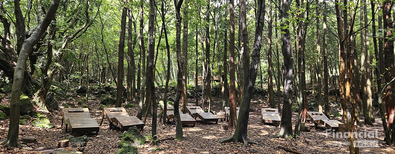 숲속 나무 배드에 누워 깜빡 잠이 들기도 한다. /사진=이동미 여행작가