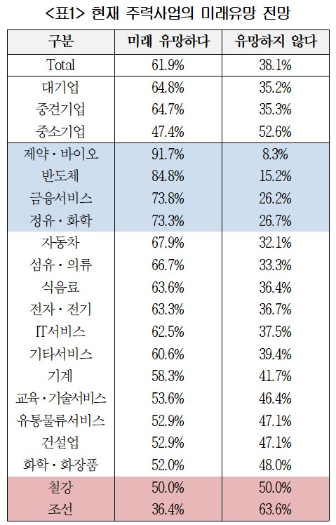 국내 기업 주력사업의 미래유망 전망 / 자료=대한상공회의소