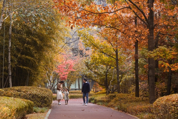 롤링힐스 호텔_야외 산책로./사진=